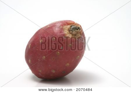 Cactus o Tuna contra un fondo blanco