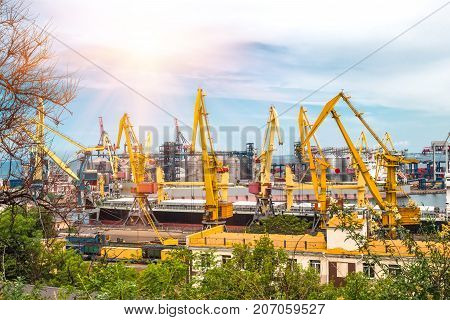 big ship and cranes in the sea port load and unload cargo on a summer day