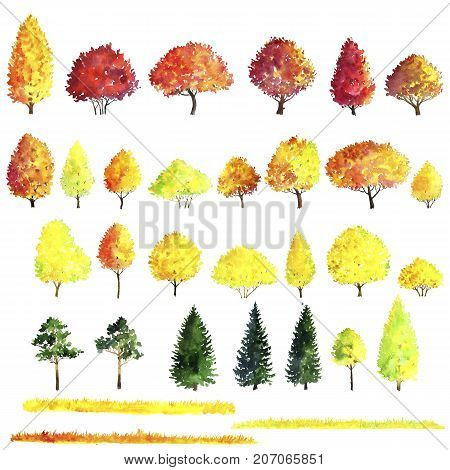 set of autumn trees drawing by watercolor, bushes, firs, pines and decidious, red and yellow foliage, isolated natural elements, hand drawn illustration