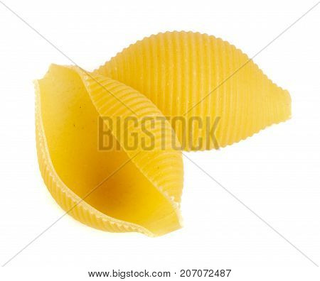 pasta in the shape of a shell isolated on white background close up.
