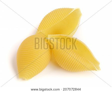 pasta in the shape of a shell isolated on white background close up.