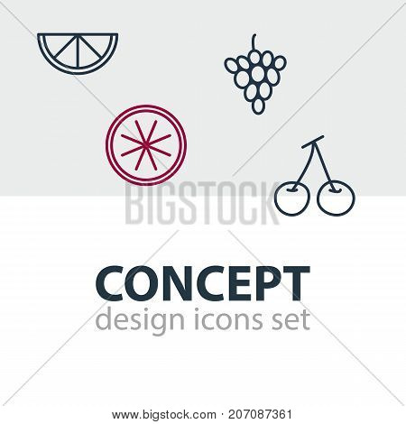 Editable Pack Of Orange, Lime, Morello And Other Elements.  Vector Illustration Of 4 Berry Icons.