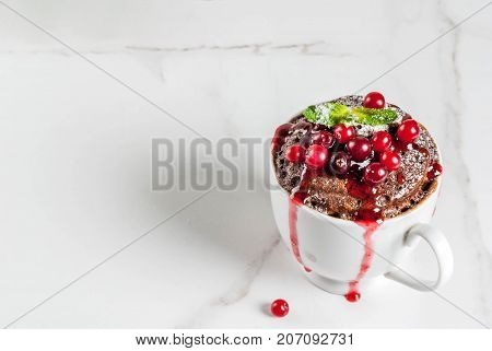 Chocolate Mugcake With Cranberry