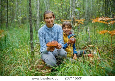Mushrooms picking, season for mushrooms - lovely girl and boy with picked fresh edible mushrooms in basket in the forest