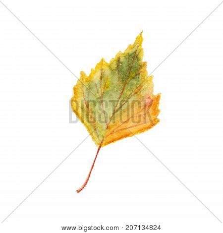 Watercolor autumn leaf isolated on white background.
