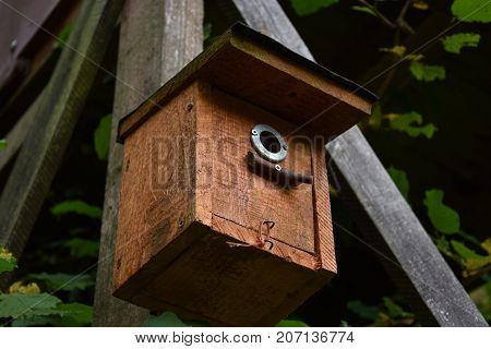 birdhouse on wooden background in forest Park hand wood shelter for birds to spend the autumn and winter