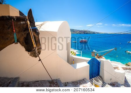 The old harbor of Ammoudi under the famous village of Ia at Santorini, Greece.