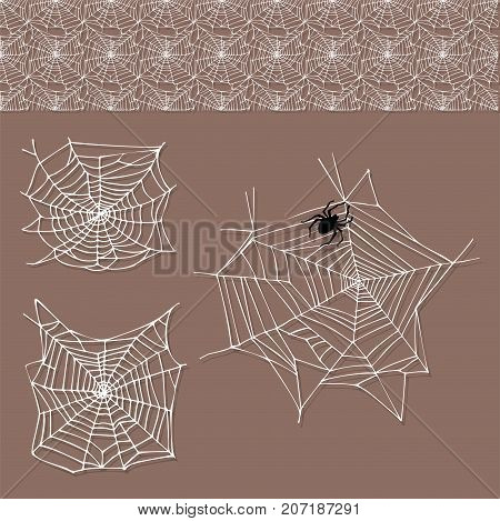 Spider web silhouette arachnid fear graphic flat scary animal poisonous design nature phobia insect danger horror tarantula halloween vector icon. Creepy warning symbol poison silhouette.