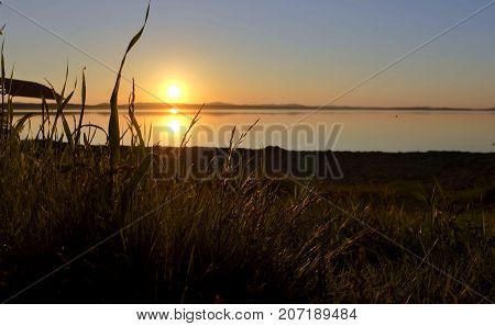Golden sun sinks over the lake in the evening, golden water, grassy shore, South Ural lake Uvildy