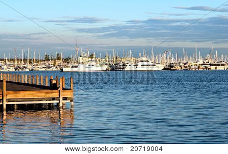 ฮาร์เบอร์ฟรีแมนเทิล