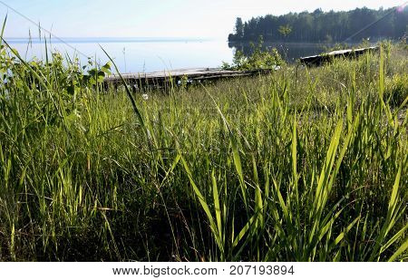 grassy shore of the lake in early morning sunlight, Uvildy, South Ural