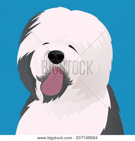 Old English Sheepdog close up vector illustration