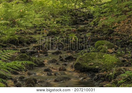 Usovicky creek near Marianske Lazne spa town in autumn day