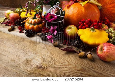 Fall Arrangement With Pumpkins, Rowan Berries, Barberry, Copy Space