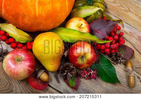 Thanksgiving Background With Pumpkin, Apples, Pear, Colorful Leaves