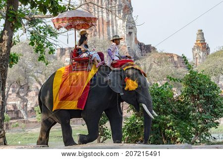 Ayutthaya Thailand  April 15, 2016 : Riding an elephant The elephant is the dominant activity of the main attractions -  Ayutthaya historical park And a World Heritage Area