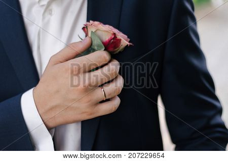 Close Up Of Groom In Black Suit Pinning A Pink Rose Boutonniere To A Jacket On The Background Of Gre