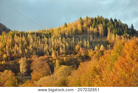 Colorful autumn landscape in the mountain village