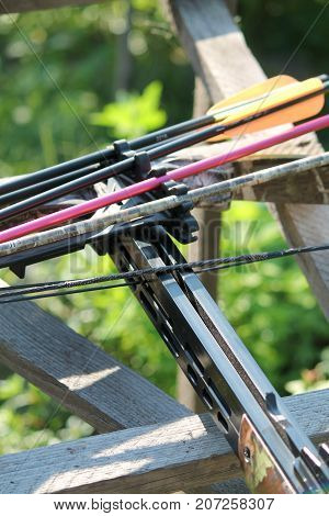 Crossbow, weapons producing boom.crossbow resting on tree trunk in autumn woods