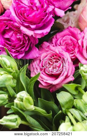 Pink roses on a flower market. Flowers photo concept