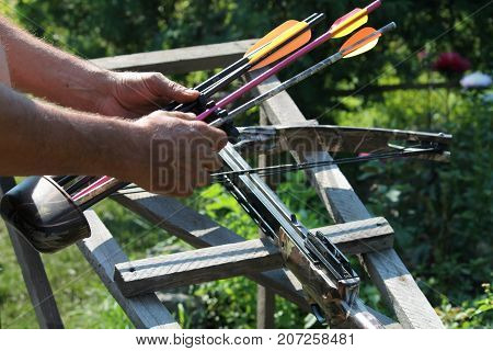 Crossbow, weapons producing boom.crossbow resting on tree trunk in autumn woods