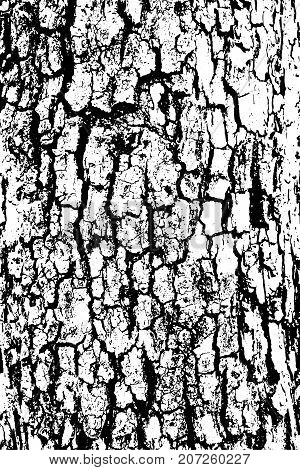 Distressed halftone grunge black and white vector texture -old wood bark texture background with cracks for creation abstract vintage design effect with noise and grain.
