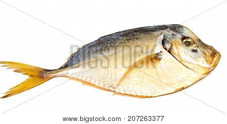 Dry fish isolated on white background. horizontal photo.