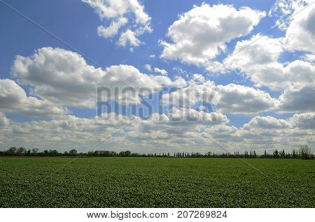 Korolyovka (Korolivka village) - village, Nikolaevsky village council, Novomoskovsk district, Dnepropetrovsk region, Ukraine.
