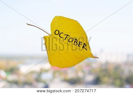 Yellow Leaf With Inscription October.