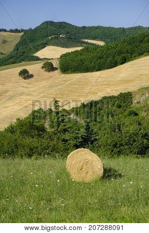 Summer landscape along the road from Lunano to Urbania (Montefeltro Pesaro Urbino Marches Italy)