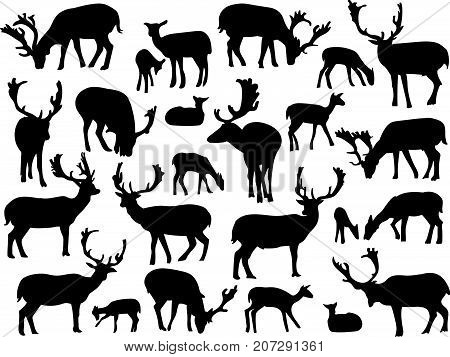 Noble deer silhouettes set isolated on white background. Vector illustration for your wildlife design
