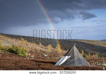 yurt in a landscape of northern Mongolian taiga