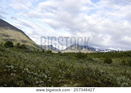 View Of Jotunheimen Nationalpark In Norway On Summer Day