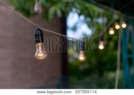 Decorative outdoor string lights hanging on tree in the garden in evening time.
