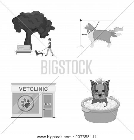 Walking with a dog in the park, combing a dog, a veterinarian's office, bathing a pet. Vet clinic and pet care set collection icons in monochrome style vector symbol stock illustration .