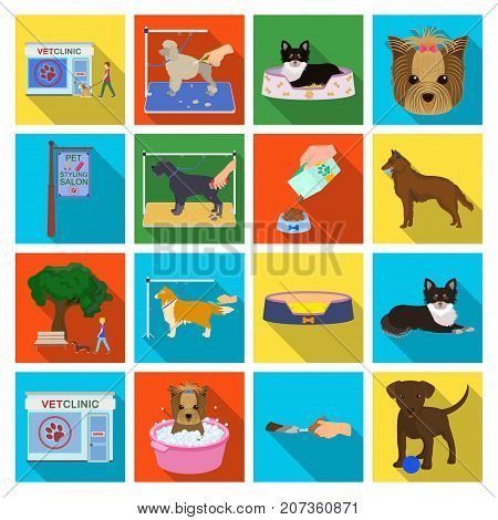 Walking with a dog, a vet clinic, a dog haircut, a puppy bathing, feeding a pet. Vet clinic and pet care set collection icons in flat style vector symbol stock illustration .