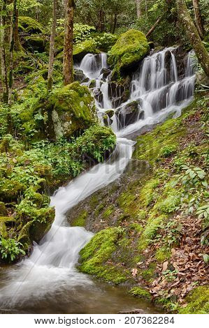 Waterfall down a mountian side with green moss in the fall