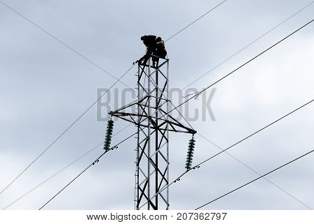 Assembly And Installation Of New Support Of A Power Line
