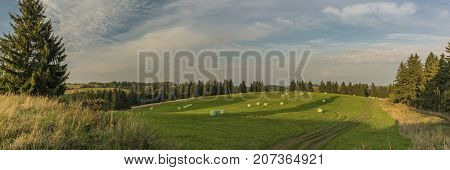 Color Evening In Slavkovsky Les National Park In Autumn Time