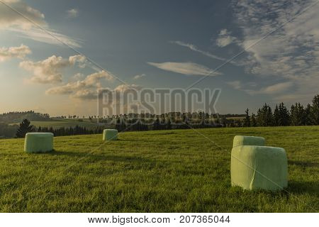Color Evening In Slavkovsky Les National Park In Autumn Time