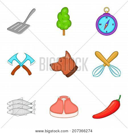 Selection of meat icons set. Cartoon set of 9 selection of meatvector icons for web isolated on white background