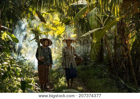 The story of rural people way of life Karen is with nature on the jungle.