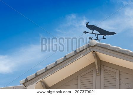 Weather vane with peacock above an arrow and the four cardinal points North East West South.