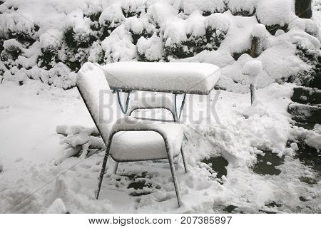 Weather anomaly. Snow in May. Garden covered with snow after snowstorm. Europe. Gloomy day.