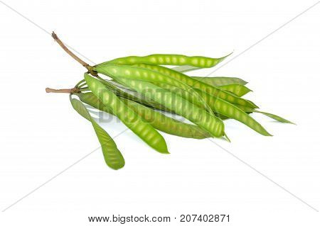 fresh leucaena pods with stem on white background