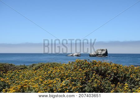 Beautiful Seascape Along The Pacific Coast, California, Usa