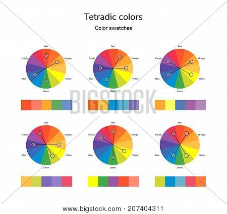 vector illustration of color circle, infographics, palette, tetradic color swatches