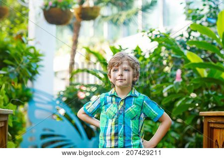 Little blond preschool kid boy discovering flowers and butterflies at botanic garden. Schoolchild interested in biology. Active educational leisure with kids in museum.