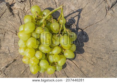 Ripe bunch of green grape on the old tree stump