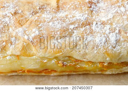 Layer Cake Closeup Powdered Sugar. The Vegetable Filling. Closeup